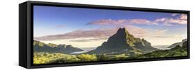 Sunrise over Mt Rotui, Opunohu Bay and Cook's Bay, Moorea, French Polynesia-Matteo Colombo-Framed Stretched Canvas