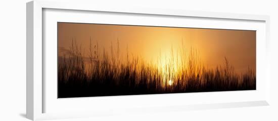 Sunrise Over Nachusa Grasslands-Steve Gadomski-Framed Photographic Print