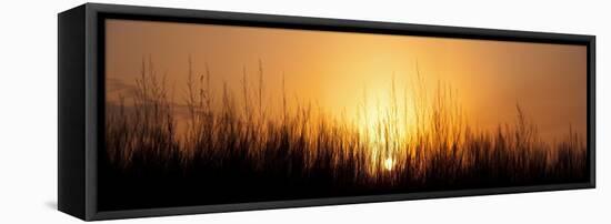 Sunrise Over Nachusa Grasslands-Steve Gadomski-Framed Stretched Canvas