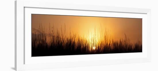 Sunrise Over Nachusa Grasslands-Steve Gadomski-Framed Photographic Print