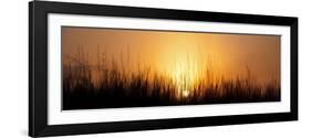 Sunrise Over Nachusa Grasslands-Steve Gadomski-Framed Photographic Print