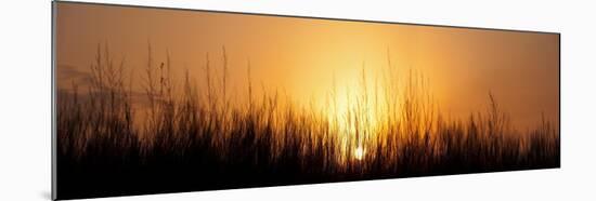 Sunrise Over Nachusa Grasslands-Steve Gadomski-Mounted Photographic Print