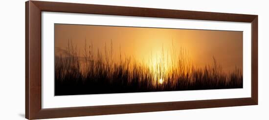 Sunrise Over Nachusa Grasslands-Steve Gadomski-Framed Photographic Print