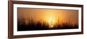 Sunrise Over Nachusa Grasslands-Steve Gadomski-Framed Photographic Print