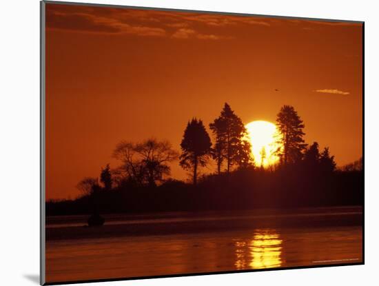 Sunrise over Odiorne Point, New Hampshire, USA-Jerry & Marcy Monkman-Mounted Photographic Print