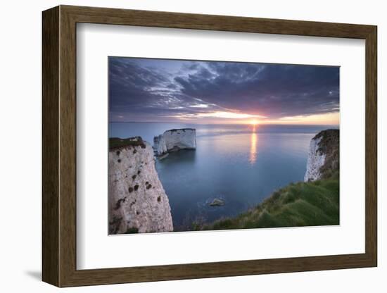 Sunrise over Old Harry Rocks, Jurassic Coast, Dorset, England. Spring-Adam Burton-Framed Photographic Print