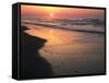 Sunrise over Outer Banks, Cape Hatteras National Seashore, North Carolina, USA-Scott T^ Smith-Framed Stretched Canvas