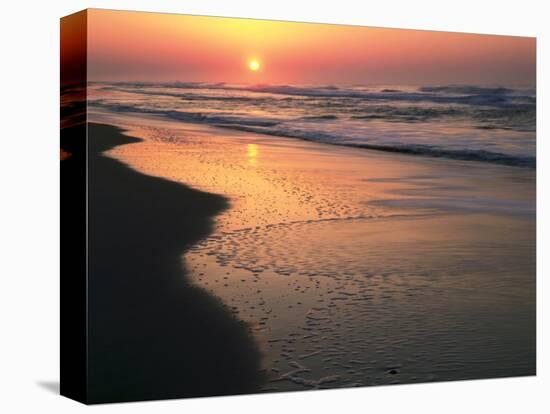 Sunrise over Outer Banks, Cape Hatteras National Seashore, North Carolina, USA-Scott T^ Smith-Stretched Canvas