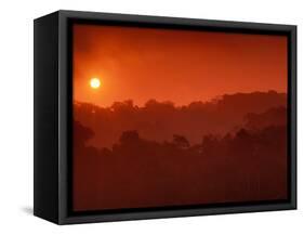 Sunrise over Rainforest, Khao Yai National Park, Thailand-Art Wolfe-Framed Stretched Canvas