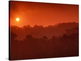 Sunrise over Rainforest, Khao Yai National Park, Thailand-Art Wolfe-Stretched Canvas
