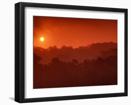 Sunrise over Rainforest, Khao Yai National Park, Thailand-Art Wolfe-Framed Premium Photographic Print