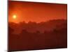 Sunrise over Rainforest, Khao Yai National Park, Thailand-Art Wolfe-Mounted Premium Photographic Print
