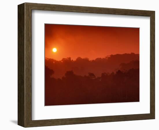 Sunrise over Rainforest, Khao Yai National Park, Thailand-Art Wolfe-Framed Photographic Print