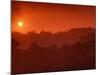 Sunrise over Rainforest, Khao Yai National Park, Thailand-Art Wolfe-Mounted Photographic Print