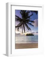 Sunrise over Small Islet, Rarotonga, Cook Islands-Matteo Colombo-Framed Photographic Print