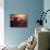 Sunrise over South Atlantic, Punta Del Este, Uruguay-Jerry Ginsberg-Photographic Print displayed on a wall