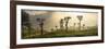 Sunrise over Tea Plantations, Haputale, Sri Lanka Hill Country, Sri Lanka, Asia-Matthew Williams-Ellis-Framed Photographic Print