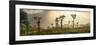 Sunrise over Tea Plantations, Haputale, Sri Lanka Hill Country, Sri Lanka, Asia-Matthew Williams-Ellis-Framed Photographic Print