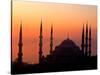 Sunrise Over the Blue Mosque, Istanbul, Turkey-Joe Restuccia III-Stretched Canvas