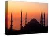 Sunrise Over the Blue Mosque, Istanbul, Turkey-Joe Restuccia III-Stretched Canvas