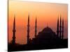 Sunrise Over the Blue Mosque, Istanbul, Turkey-Joe Restuccia III-Stretched Canvas