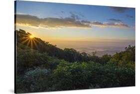 Sunrise over the Blue Ridge Mountains, North Carolina, United States of America, North America-Jon Reaves-Stretched Canvas