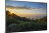 Sunrise over the Blue Ridge Mountains, North Carolina, United States of America, North America-Jon Reaves-Mounted Photographic Print