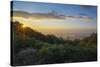 Sunrise over the Blue Ridge Mountains, North Carolina, United States of America, North America-Jon Reaves-Stretched Canvas