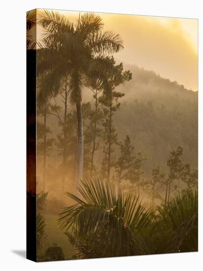 Sunrise over the Farmlands of Vinales Valley, Cuba-Alex Saberi-Stretched Canvas