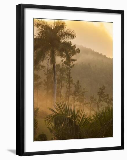 Sunrise over the Farmlands of Vinales Valley, Cuba-Alex Saberi-Framed Photographic Print