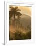 Sunrise over the Farmlands of Vinales Valley, Cuba-Alex Saberi-Framed Photographic Print