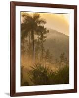 Sunrise over the Farmlands of Vinales Valley, Cuba-Alex Saberi-Framed Photographic Print