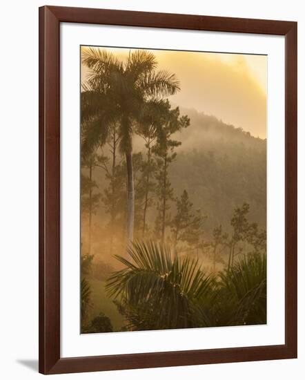 Sunrise over the Farmlands of Vinales Valley, Cuba-Alex Saberi-Framed Photographic Print