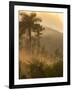 Sunrise over the Farmlands of Vinales Valley, Cuba-Alex Saberi-Framed Photographic Print