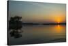 Sunrise over the Nile in the Murchison Falls National Park, Uganda, East Africa, Africa-Michael-Stretched Canvas