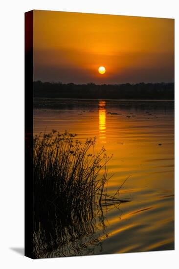 Sunrise over the Nile in the Murchison Falls National Park, Uganda, East Africa, Africa-Michael-Stretched Canvas