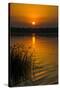 Sunrise over the Nile in the Murchison Falls National Park, Uganda, East Africa, Africa-Michael-Stretched Canvas