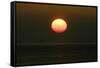 Sunrise over the North Sea-null-Framed Stretched Canvas