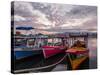 Sunrise over the port in Paraty, State of Rio de Janeiro, Brazil, South America-Karol Kozlowski-Stretched Canvas