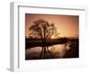 Sunrise Over the River Wey, Send, Surrey, England, United Kingdom-Roy Rainford-Framed Photographic Print