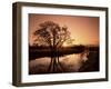 Sunrise Over the River Wey, Send, Surrey, England, United Kingdom-Roy Rainford-Framed Photographic Print