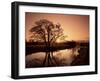 Sunrise Over the River Wey, Send, Surrey, England, United Kingdom-Roy Rainford-Framed Photographic Print