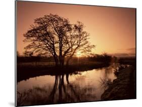Sunrise Over the River Wey, Send, Surrey, England, United Kingdom-Roy Rainford-Mounted Photographic Print