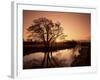 Sunrise Over the River Wey, Send, Surrey, England, United Kingdom-Roy Rainford-Framed Photographic Print