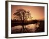 Sunrise Over the River Wey, Send, Surrey, England, United Kingdom-Roy Rainford-Framed Photographic Print