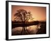 Sunrise Over the River Wey, Send, Surrey, England, United Kingdom-Roy Rainford-Framed Photographic Print