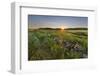 Sunrise over the salt marsh along the Essex River, Essex, Massachusetts.-Jerry & Marcy Monkman-Framed Photographic Print