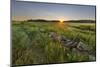 Sunrise over the salt marsh along the Essex River, Essex, Massachusetts.-Jerry & Marcy Monkman-Mounted Photographic Print