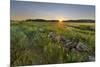 Sunrise over the salt marsh along the Essex River, Essex, Massachusetts.-Jerry & Marcy Monkman-Mounted Premium Photographic Print