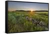 Sunrise over the salt marsh along the Essex River, Essex, Massachusetts.-Jerry & Marcy Monkman-Framed Stretched Canvas